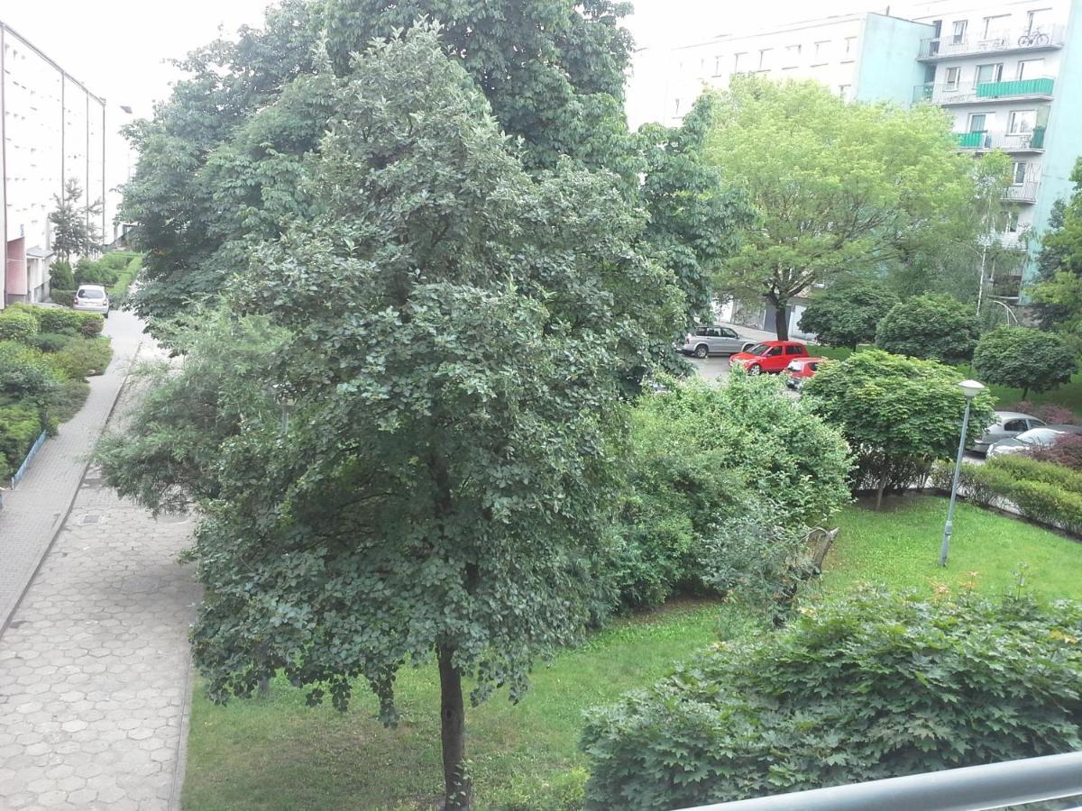 3030 Jana Spychalskiego 32 - Tanie Pokoje W Apartamencie - Samodzielne Zameldowanie - Self Check In Poznaň Exteriér fotografie